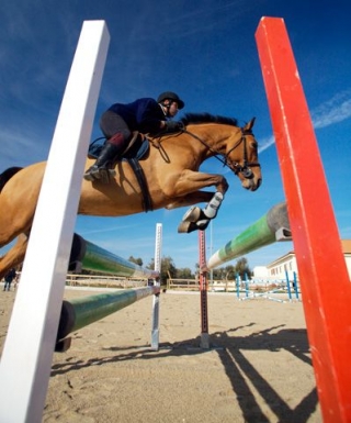  Cursos de equitación 